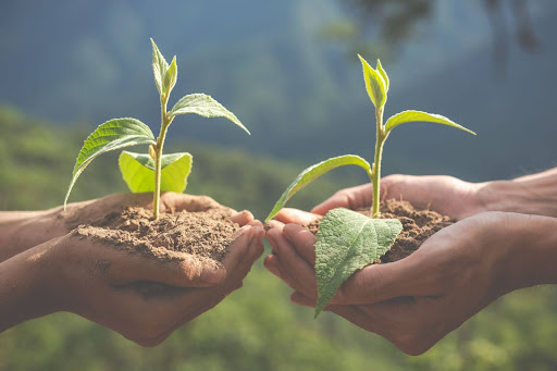 Blog Title - Sunrise Crop Sciences Blog